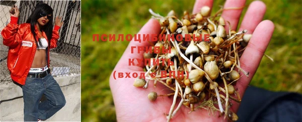 а пвп мука Козельск